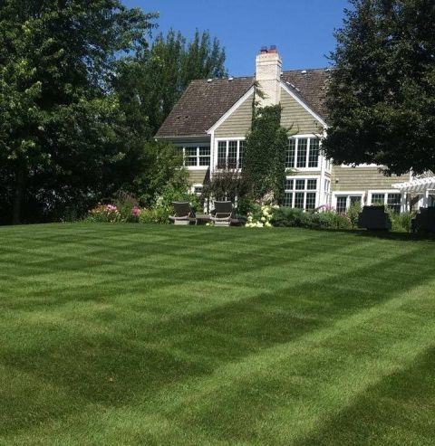 Image depicting the Service Overseeding with Aeration