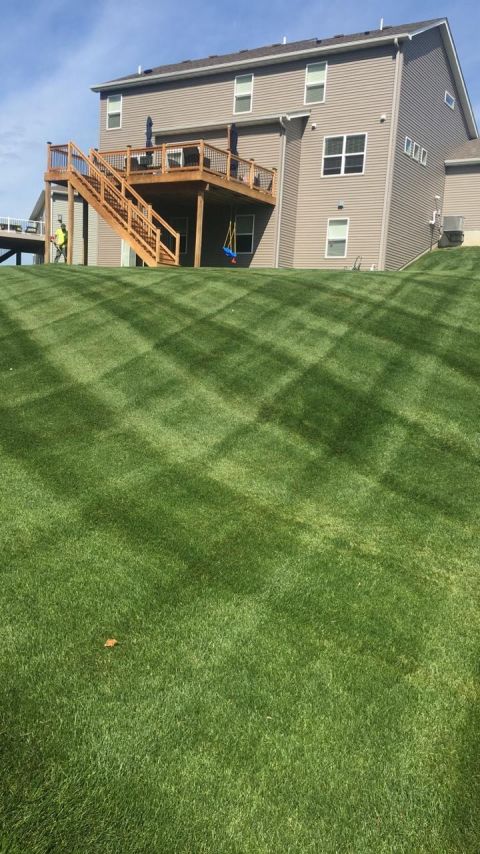 Image depicting the Service Lawn Care & Maintenance
