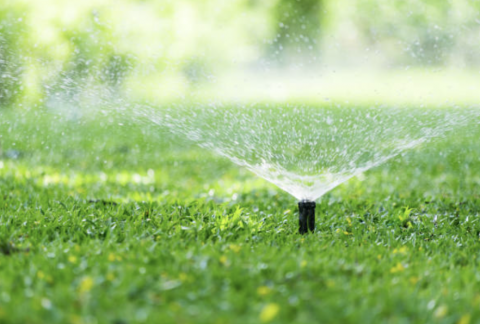Image depicting the Service Irrigation Repairs & Maintenance